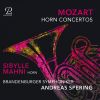 Download track Horn Concerto No. 3 In E-Flat Major, K. 447 I. Allegro