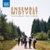 Download track Serenade In D Minor, Op. 44, B. 77 (Arr. F. Hertl): IV. Finale. Allegro Molto