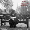 Download track Se Piovesse Il Tuo Nome