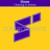 Download track Chasing A Dream