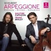 Download track Cello Sonata In A Minor, D. 821, Arpeggione I. Allegro Moderato