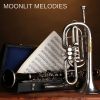 Download track Dreamy Moments