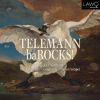 Download track Sonata In D Major, TWV 44: 1 (Arr. For Trumpet, Oboe, Bassoon, Lute And String Quartet By Mark Bennett): II. Largo