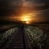Download track Analyze