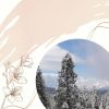 Download track Wondrous Backdrops For Staying Fresh