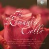 Download track I. Allegro Moderato