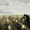 Download track Calm In The Chaos