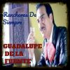 Download track La Vida Es Una Copa De Licor