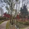 Download track A Memory Of An Autumn Day