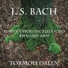 Download track Cello Suite No. 2 In D Minor, BWV 1008: II. Allemande