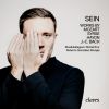 Download track Symphony No. 49 In F Minor, Hob I: 49 