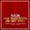 Download track 07 - Crisantemi, SC 65 (Arr. For Violin & Piano By Giuseppe Bruno)