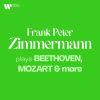 Download track Violin Concerto In D Minor, MWV O3: III. Allegro