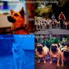 Download track Hot Dogs