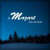 Download track Divertimento In E Flat, K. 166: 4. Adagio