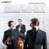 Download track String Trio In B-Flat Major, D. 471