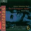 Download track 'Der Himmel Lacht, Die Erde Jubilieret' BWV 31 - VI. Adam Muss In Uns Verwesen