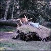 Download track L' Harmonica