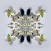 Download track Fruits 