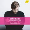 Download track Waldszenen, Op. 82 No. 9, Abschied