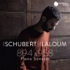 Download track Sonata In C Minor, D. 958: III. Menuetto. Allegro - Trio