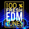 Download track Zumba E 2017 (Original Mix)