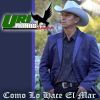 Download track Mi Compa El Bingo