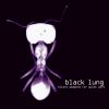 Download track Somatime