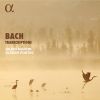 Download track 09. Violin Partita No. 2 In D Minor, BWV 1004 V. Chaconne (Transcr. For Recorder And Harpsichord By Pierre Gouin)
