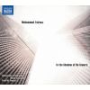 Download track Glass - Concerto Fantasy For Two Timpanists And Orchestra - Movement 2