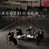 Download track String Quartet No. 8 In E Minor 'Razumovsky' Op. 59 No. 2: IV. Finale (Presto)