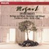 Download track Divertimento In D KV334-320b - Rondo (Allegro)