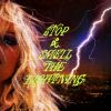 Download track From The Hotel Pool I Draw A Line