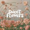 Download track Whispering Twilight
