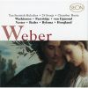 Download track 11. Trio In G Minor, Op. 63, For Flute, Violoncello & Piano - I. Allegro Moderato