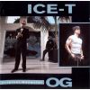 Download track First Impression