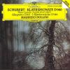 Download track Piano Sonata # 21 In B Flat, D. 960 - 1. Molto Moderato