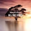 Download track All The Stars