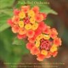 Download track Canon In D Major