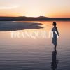 Download track Inner Silence