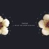 Download track K