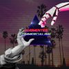 Download track Arcade Anomaly