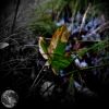 Download track Fall In Deep (Original Mix)