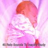 Download track Rain Regrowth