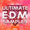 Download track I Am The Law (Endo Andre Remix)