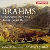 Download track 2. String Quartet In A Minor Op. 51 No. 2 - II. Andante Moderato