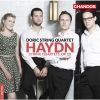 Download track String Quartet No. 27 In D Major, Op. 20 No. 4 Hob. III: 34: II. Un Poco Adagio E Affettuoso
