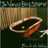 Download track Dream