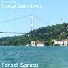 Download track Kim Ayırdı Sevenleri