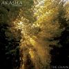 Download track The Chain